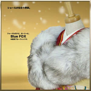 ブルーフォックス 日本製 ショール Blue Fox SAGA FARS 狐毛皮 成人式 高級ショール通販セール