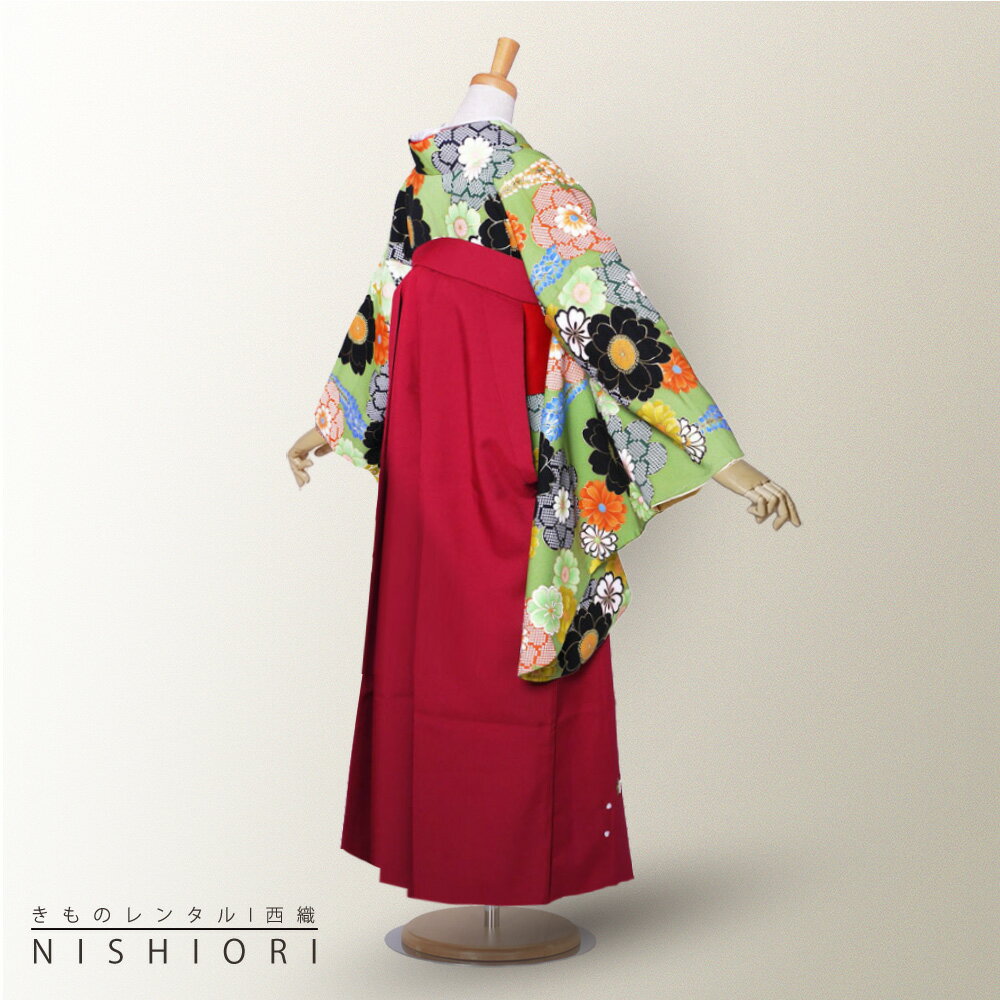 二尺袖 着物 袴 フルセット レンタル 【貸衣装 卒業式 大学生】 【レトロ 古典】【選べる袴サイズ S M L】 【ジュニア袴(小学生)対応可】緑 抹茶 桜 菊 藤 赤