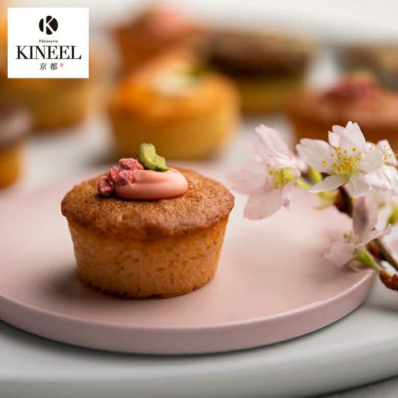 お祝い・内祝い KINEEL プチケーキ詰合せ 姫ガトー(桜） / キニール 京都 桜 プレゼント ギフト プチギフト スイーツ ひとくちケーキ アソート セット お菓子 洋菓子 入学祝 内祝い 手土産 詰め合わせ 個包装 焼き菓子 お祝い お返し 誕生日 お取り寄せ のし 出産祝のサムネイル