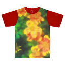 【kurofune Art Flowers Tシャツ】菊咲栴檀草真紅 L 京都 くろちく 公式 アート ビッグサイズ ユニセックス グリーン レッド イエロー フラワー 花 草