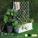 【楽天スーパーSALE★ポイント10倍】 プランター台付フェンス ロータイプ プランター台付フェンス ロータイプ アーガイル フェンス ゲート 扉 アイアン ガ...