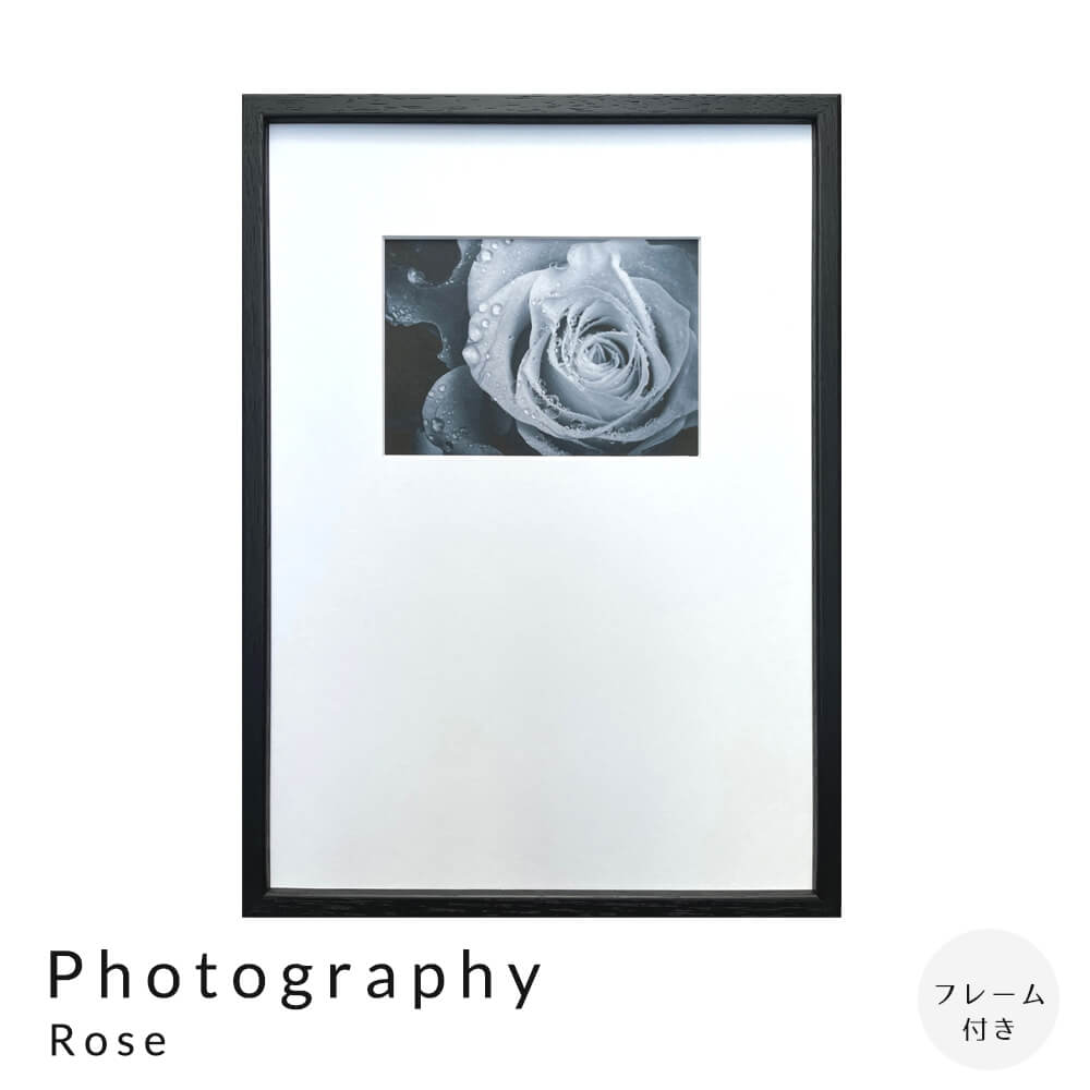 【楽天ブラックフライデー★ポイント5倍】 Photography Rose アートポスター（フレーム付き） アートポ..