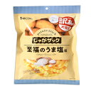 じゃがザック 至福のうま塩味【訳あり大容量】ジャガイモ ポテト ソルト スナック