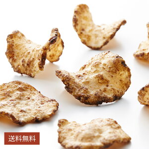 堀川ごぼうチップス 1ケース(12袋入り)【ケース販売】【京野菜】おつまみ お菓子 京都のお菓子 京都 堀川ごぼう プチギフト 大人気