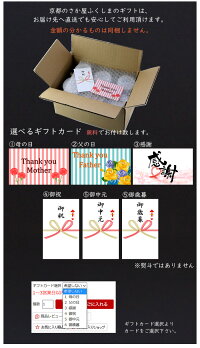 檸檬ひやしあめワンカップ桜南食品生姜湯あめスキー180ml6本