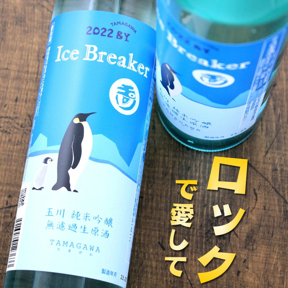 ʐ Ice Breaker ACXu[J[ ċ h  500ml ؉ s{ O