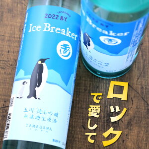 玉川 Ice Breaker アイスブレーカー 純米吟醸 無濾過 生原酒 500ml 木下酒造 京都府 京丹後