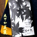 美丈夫 びじょうふ 純米大吟醸 吟の夢 高知 浜川商店 1800ml