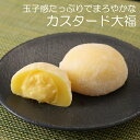 カスタード大福 3個入り 京都 生菓子 ギフト 高級 おもたせ お土産 スイーツ プレゼント 和菓子 お取り寄せ 京土産 お試しセット クール便 成寿庵