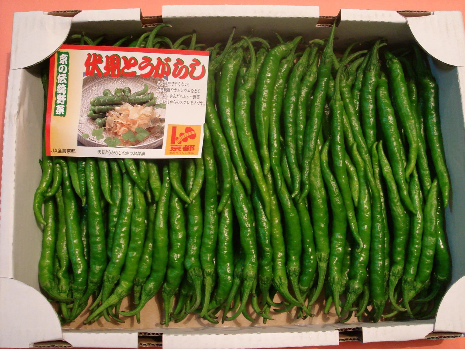 京都中央卸売市場中西青果仲卸直送だから新鮮！京野菜仲卸中西青果店主厳選最高品伏見甘長とうがらし1kg(一般的に辛くなく甘みのあるとうがらし)ふしみあまながとうがらし 伏見唐辛子 伏見とうがらし じゃこ又はお揚げと煮たり 網でさっと焼いて鰹節かけても美味しい