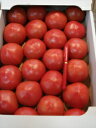 【送料無料【新鮮中央市場直送】】京野菜の卸屋さん店長おすすめ美味しい京トマト3kg以上(45玉〜15玉入) 北口さんが作られた美味しい京とまと! 完熟してから収穫の為とても柔らかいのが特徴(4)