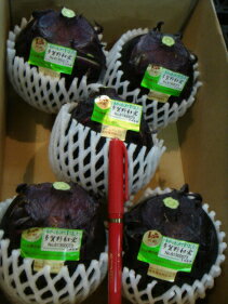 【正規品】【新鮮中央市場直送】A品コロナ被害で高級京野菜の賀茂茄子が行き場をなくして農家さんが困ってます。どうか御支援よろしくお願いします！京都直送仲卸厳選おすすめ生産者限定品京野菜京の伝統野菜ブランド秀品品超厳選賀茂茄子5個入　　賀茂なす　レシピ付き