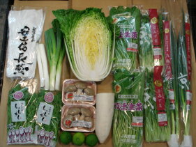 【新鮮京都中央市場直送】【送料無料】幸せを感じる京の味たっぷり高級鍋野菜セット！新鮮国産(京都府、滋賀県産、大根だけはその他含む国内産)京都中央卸売市場仲卸目利き40年の店主お薦め！鍋に美味しい野菜　　野菜セット　鍋物のサムネイル