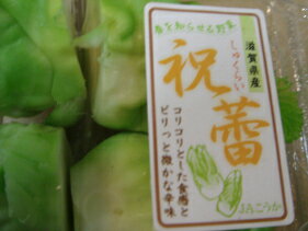 祝蕾　滋賀県産1パック(約150g)2〜10本入　春の味覚　京都中央卸売市場直送、仲卸目利き歴40年の店主が選んだお勧め野菜　蕾菜の仲間、つぼみなの仲間です。のサムネイル