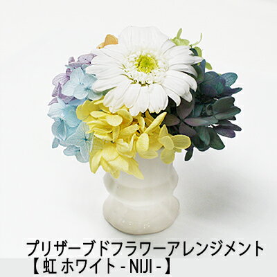 ●プリザーブドフラワーアレンジメント【 虹 ホワイト - NIJI - 】[MF-17］ガーベラ 紫陽花 A＆K 送料無料 75615