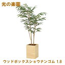 ●光の楽園 (2300A580-15) ウッドボックスショウナンゴム 1.8 送料無料 95061