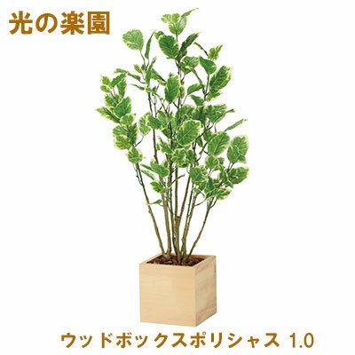 ●光の楽園 (2308A220-17) ウッドボックスポリシャス 1.0 送料無料 95071