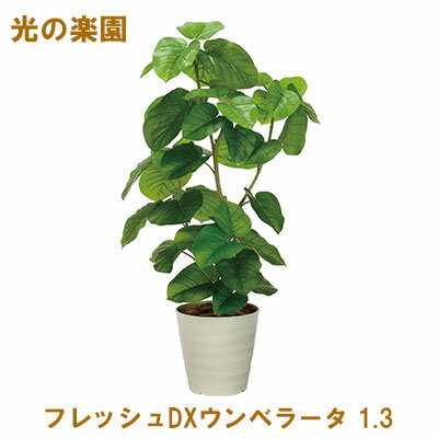 ●光の楽園 (2327A480-46) フレッシュDXウンベラータ 1.3 送料無料 95087