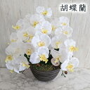 【ポイント5倍 期間限定】● 胡蝶蘭 触媒加工 (txv-2) 造花 人工 観葉植物 フェイクグリーン 送料無料 94279