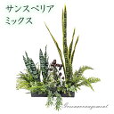 ● サンスペリア ミックス グリーンアレンジ (fgk-8) 造花 人工 観葉植物 フェイクグリーン 送料無料 94287