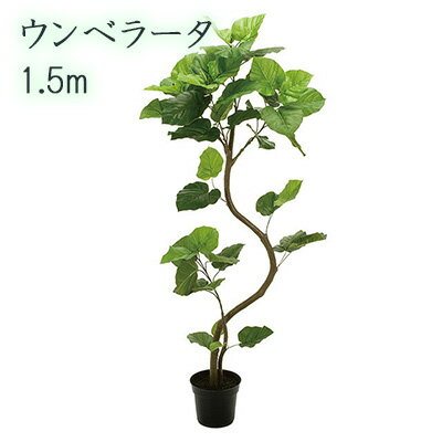 ● ウンベラータ 1.5m (fg5229) 造花 人工 観葉植物 フェイクグリーン 送料無料 94288