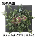 ● 光の楽園 (2557A200) ウォール タイプ コリウス 45 造花 人工 観葉植物 フェイクグリーン光触媒 送料無料 94305