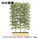 ● 光の楽園 (2610A1500) ウッドプランター ライト トネリコ 1.8m 造花 人工 観葉植物 フェイクグリーン光触媒 送料無料 94311