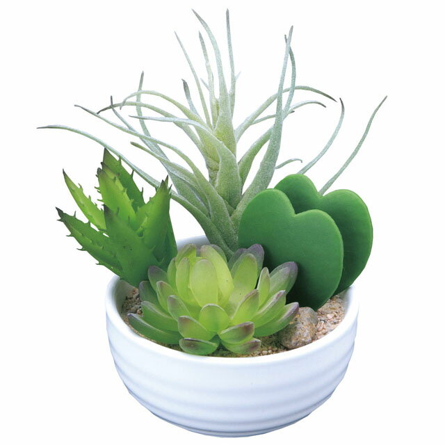 ●光の楽園 (232A40-66) 寄せ植えラブリー 送料無料 92566