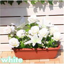 ●【HC-1P】薔薇プランター 造花 ホワイト 送料無料 92850