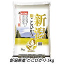 ●匠 ( 白米 ) 新潟県産 こしひかり 5kg 送料無料 04294