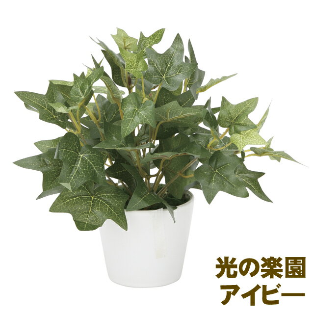 ●光の楽園 (833K30-65) アイビ- 送料無料 93909