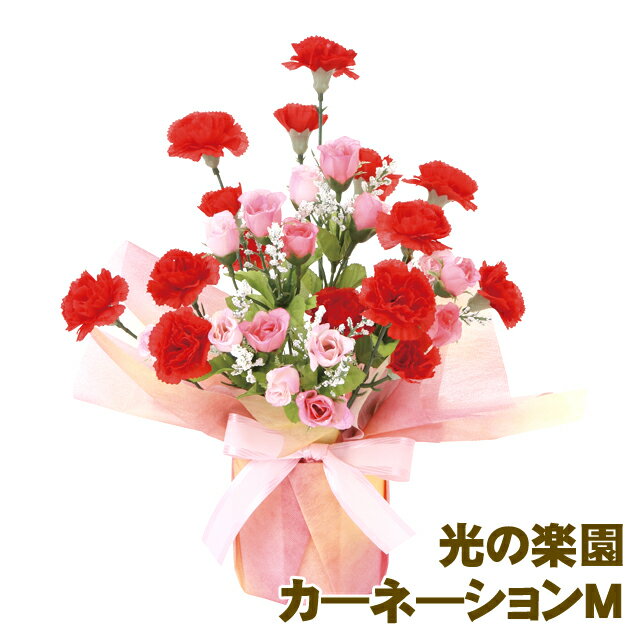 ●光の楽園 (860A30-97) カ—ネ—ションM 送料無料 93947