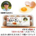 ●山元さん家のええたまご 10個×12パック 卵 玉子 たまご タマゴ 送料無料 41000