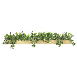 き 洗剤 サランラップ 送料無料 光の楽園 938a150 23 ボックス き 洗剤 サランラップ 送料無料 光の楽園 938a150 23 ボックス