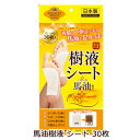 ●スクイズコーポレーション スクイズマジック リラクシング 馬油樹液 シート 30枚 ×48個 (8個入×6) 送料無料 73949(4)