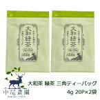 【郵送】中尾農園 奈良県田原産 大和茶 緑茶 三角 ティーバッグ 4g 20P ×2袋 送料無料 79609