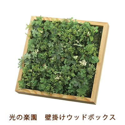 【ポイント3倍 3/4 20時〜】 ●光の楽園 (2226A100-17) 壁掛け ウッド ボックス 送料無料 99449