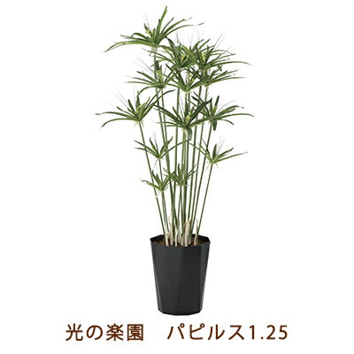 【ポイント3倍 1/24 20時〜】●光の楽園 (2297A200-28) パピルス 1.25 送料無料 99463