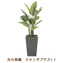 【ポイント5倍 期間限定】●光の楽園 (2239K360-30) スキンダブサス 1.1 送料無料 99465