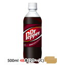 yԌ  lzRJER[ hN^[ybp[ 500ml PET~48{ (24{~2P[X)  47110