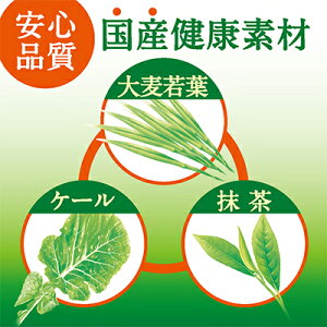 【マラソン期間エントリーで店内全品ポイント5倍】【10月末まで大特価!値下げ中!】送料無料伊藤園ごくごく飲める毎日1杯の青汁PET350gPET×48本(24本×2ケース)49417