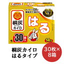 【 期間限定 ポイント5倍 要エントリー】小林製薬 桐灰 カイロ 貼る 30枚×8箱 使いすてカイロ 送料無料 06069