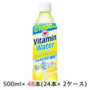 [] Tg[ r^~ EH[^[ ( Vitamin Water ) 1̃}`r^~ 500ml ybg 48{ (24{~2P[X)  48150