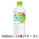 [] Tg[ VR AHB }XJbg Ⓚp 540ml ybg 24{(1P[X)  50203