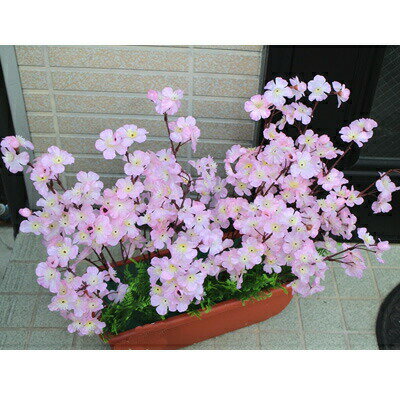 【特記事項】※ディスプレイにより商品の色が実際の色と異なる場合があります。予めご了承ください。※商品お受け取り後の、イメージ違いなどによるご購入者様のご都合での返品・交換はお受けいたしかねます。商品についてご不明な点などございましたら、ご注...