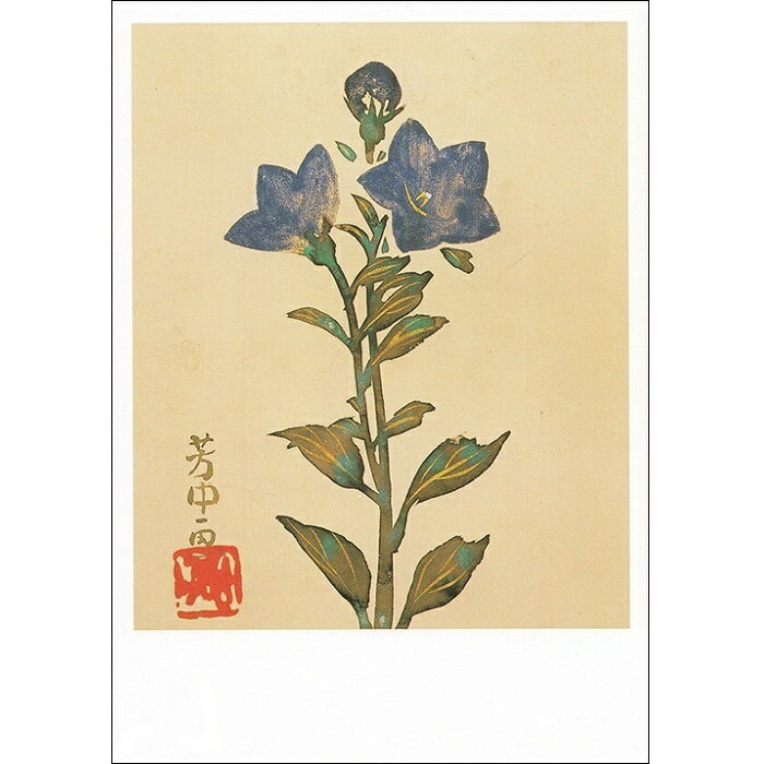 【DM便可】 絵はがき〈花卉卉図画帖 桔梗〉 中村芳中 NA-84 1