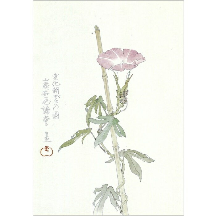 絵はがき ポストカード 山口晃 〈変化朝がを乃圖〉 アートグッズ アート日本画