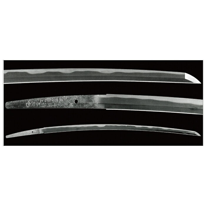 【DM便可】 絵はがき 〈刀 金象篏銘 城和泉守所持 正宗磨上 本阿（花押）〉