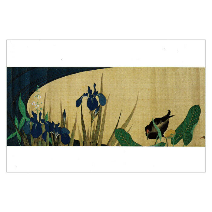 【DM便可】 絵はがき 〈四季花鳥図巻（部分）夏〉 酒井抱一筆 T-242