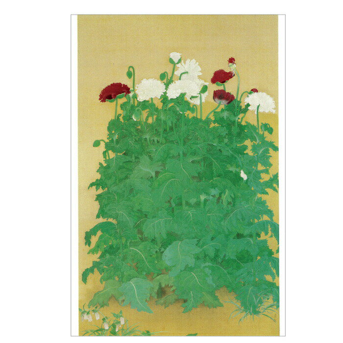 【DM便可】 絵はがき 〈芥子〉 小林古径筆 T-045